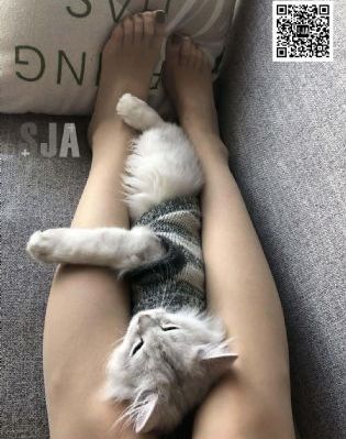 小姐诱心在线观看粤语字幕_HD电影在线看