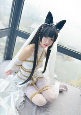 手机在线看服务_1080PHD在线观看
