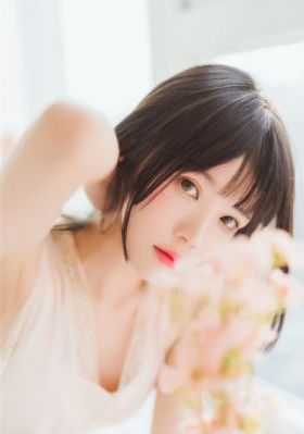 97视频成人_高清完整版BD